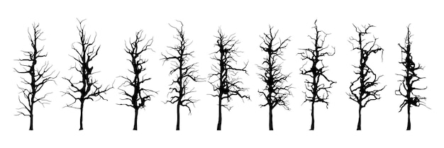 Set of drawn trees without leaves drawing on white background