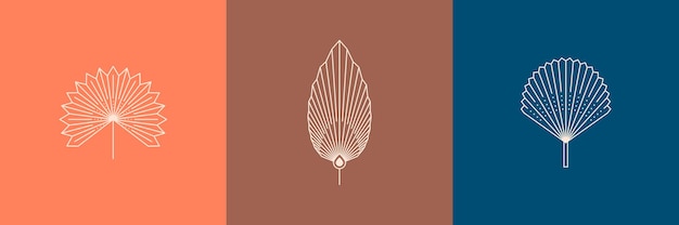 Set of Dried Palm Leaves in a Trendy Minimal Linear Style. Vector Tropical Leaf Boho Emblem. Floral Illustration for create Logo, pattern, T-shirt Prints, Tattoo, Social Media Post and Stories