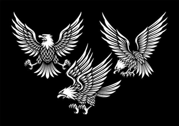 set of eagle illustration in black.