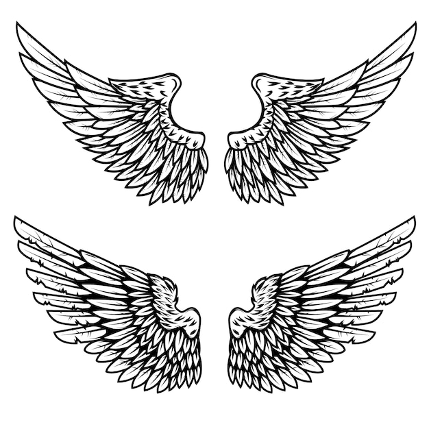 Set of the eagle wings  on white background.  element for logo, label, emblem, sign.  illustration.