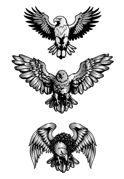 Set of eagles vector illustration