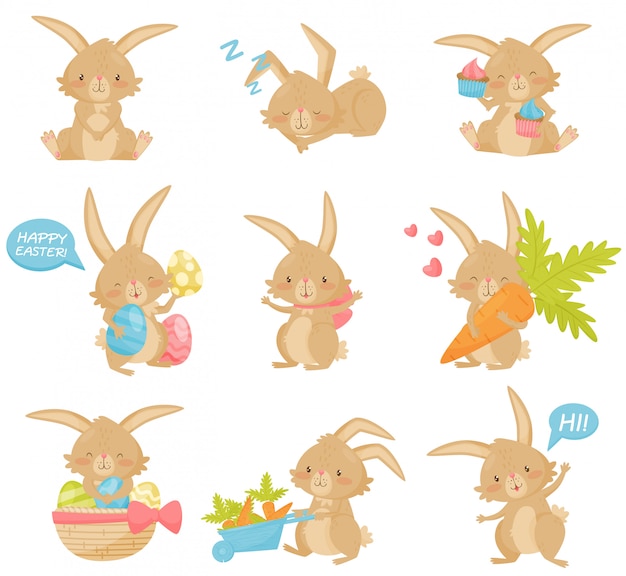   set of Easter rabbit in different actions. Adorable brown bunny with long ears and short tail