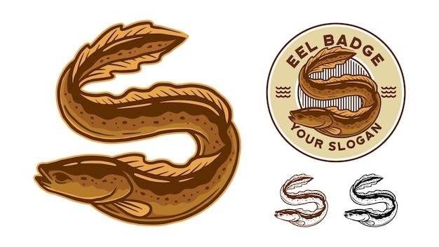 set of eel illustration