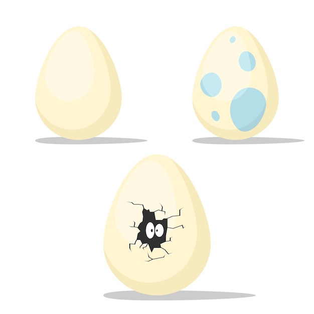 Set of eggs isolated sign on a white background.