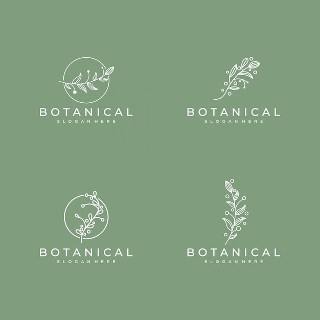 Set of Elegant botanical line art, symbol for beauty, health, and nature logo design