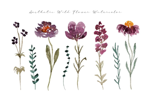 a set of elegant hand painted wild flower watercolor