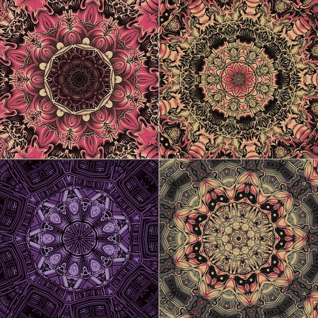 Vector set of elegant pattern with floral mandalas