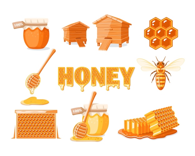 Set of elements of the honey concept isolated