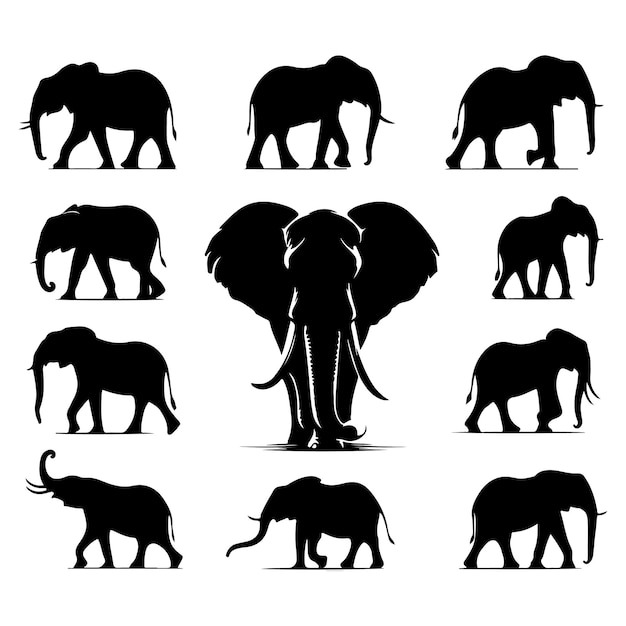 Vector set of elephant silhouettes isolated on a white background vector illustration