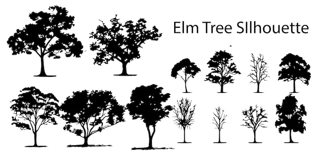 Vector a set of elm tree silhouette vector illustration