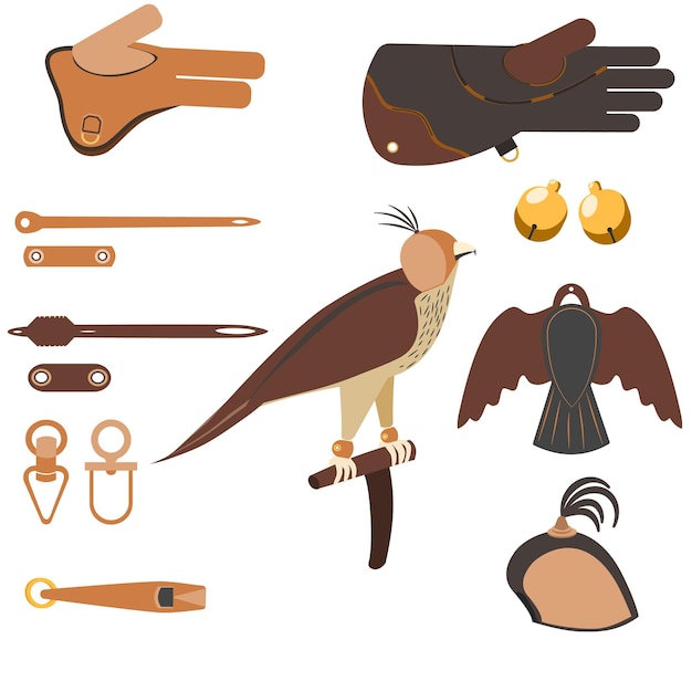 Vector set of equipment for falconry and training birds of prey