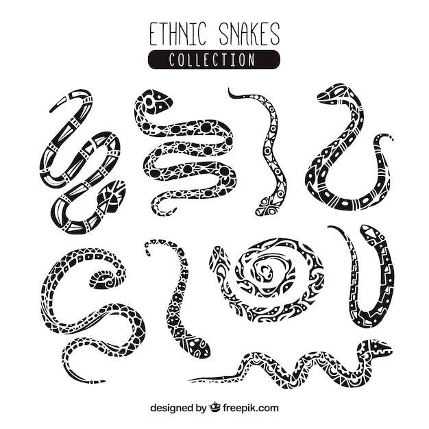 Set of ethnic hand drawn snakes