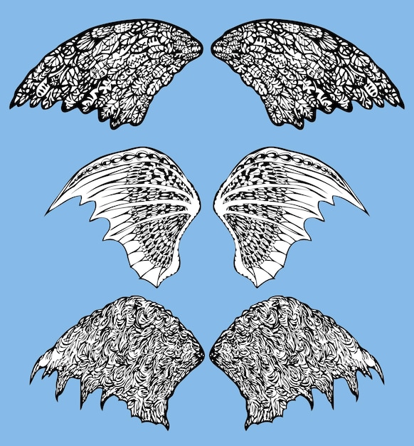 Set of the fabulous decorative wings