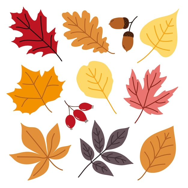 Vector set of fall vector leaves in yellow orange red brown pink and purple colors autumn design element