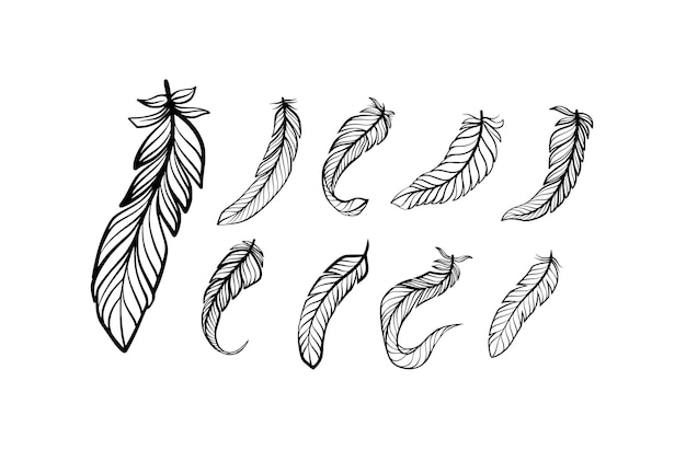 Set of Feather drawing