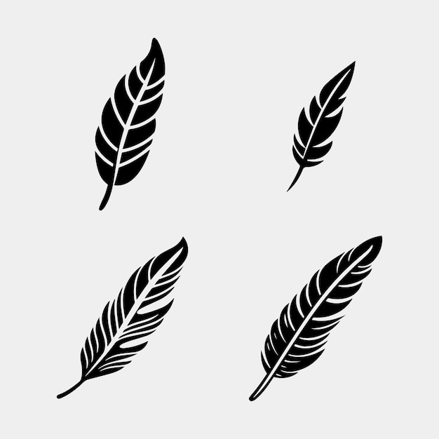 Set of feathers vector design