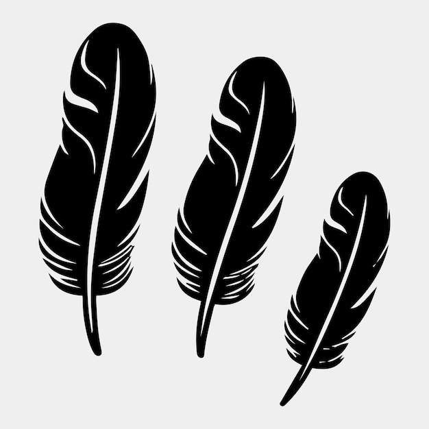 Set of feathers vector design