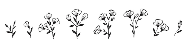 A set of field flowers drawn by hand in ink on a white background Collection of botanical elements