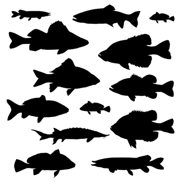 Set of Fish silhouette isolated on white background. Fish collection sketch for coloring book.