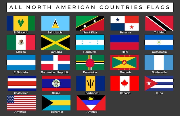 Set of flags of north american countries vector image