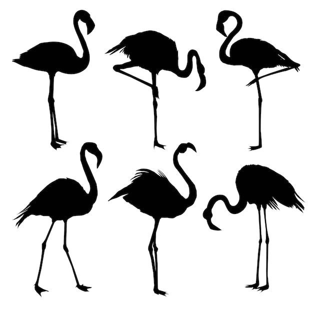 set of flamingo silhouettes 