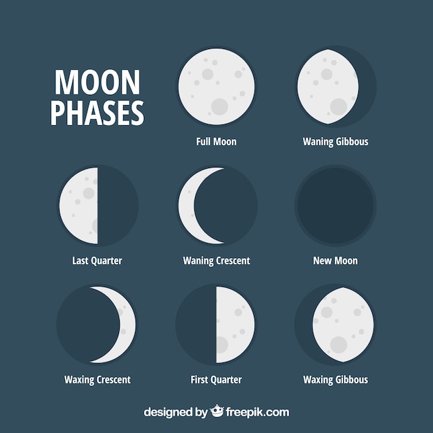 Set of flat moon phases