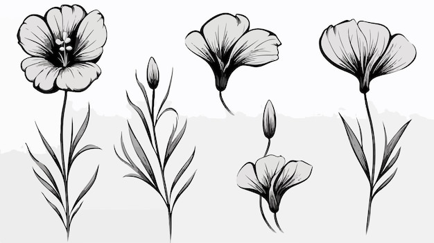 Set of Flax Flower Line Art Vector Illustrations