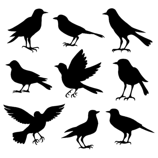 Set of a flock of flying different birds silhouettes Collection of cartoon black birds on Vector