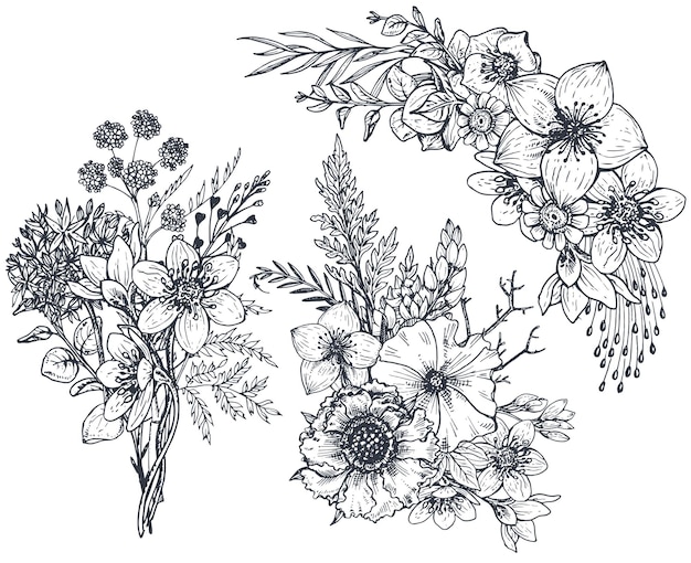 Set of Floral compositions. Bouquets with hand drawn flowers and plants.