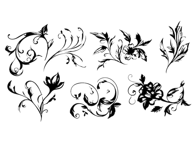 a set of floral designs including flowers and leaves