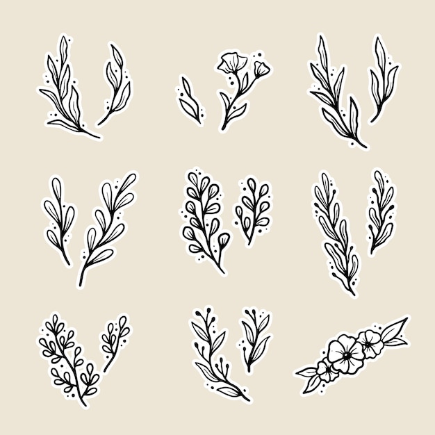 Set of floral elements, flower, leaves, wreaths. Hand drawn sketch