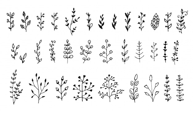 Set of floral elements isolated. Hand drawn leaves for your design. Doodle nature