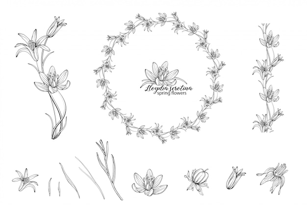 Set of floral elements