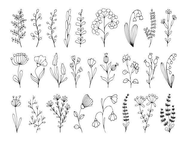 Set of floral hand drawn elements Vector branches with leaves flowers herbs for decorating design cards web Isolated simple doodle art thin line illustration Forest greenery fern eucalyptus