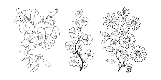 Set of floral line art hand drawn simple flower coloring pages for kids and adult