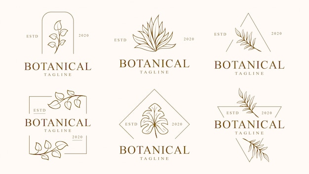 Set of floral logo template