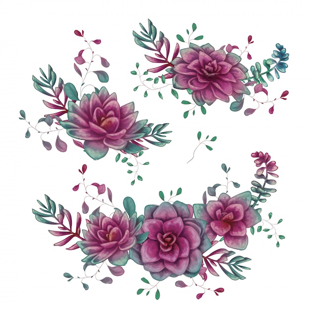 Set of floral succulents compositions in hand draw style.