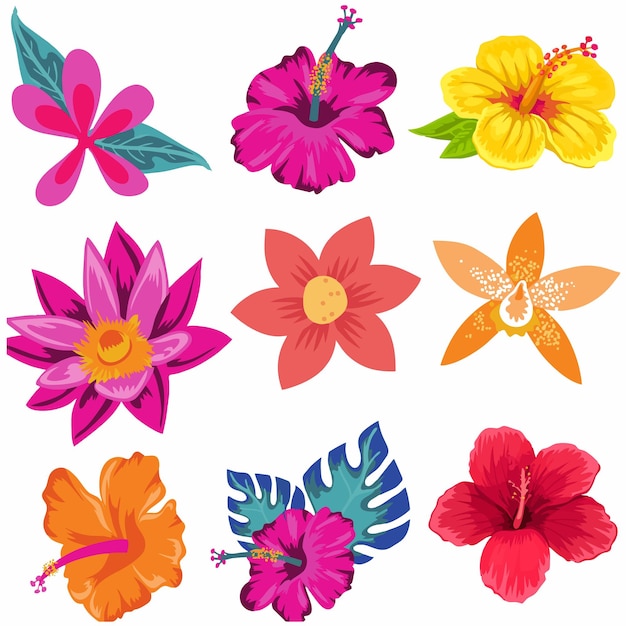 set flower illustration for decoration