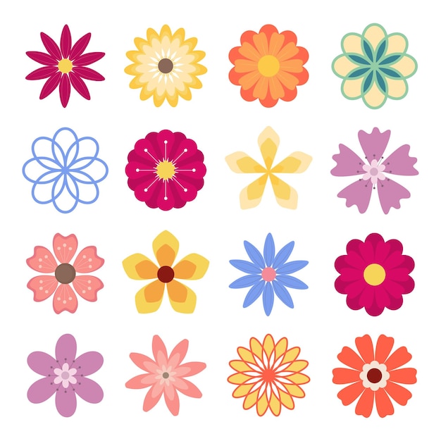 Set of Flower Illustration