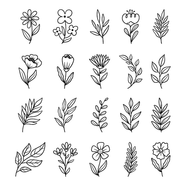 Set flower and leaf handdrawn vector