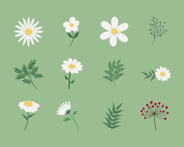 Vector set of flowers and branches