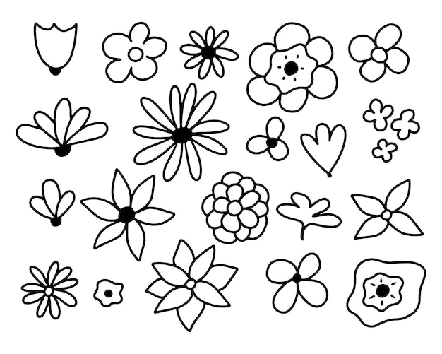 Set of flowers in doodle style Different flowers in line style Vector illustration Flowers collection