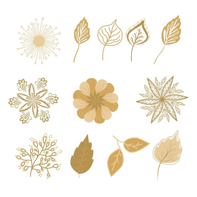 Set of flowers and leaves in boho style doodle elements