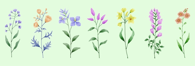 A set of flowers painted with watercolors to accompany various cards and greeting cards