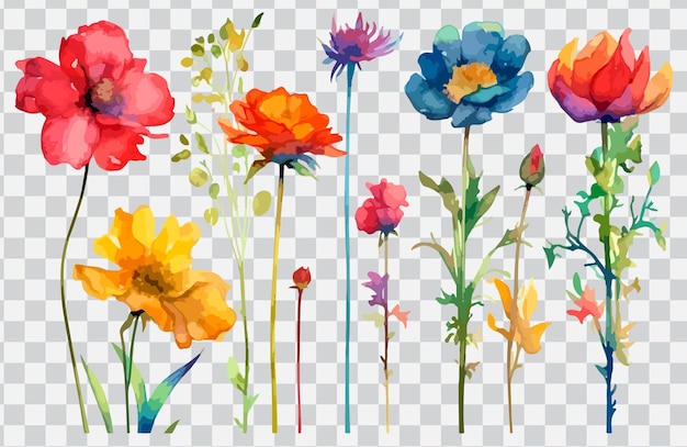 A set of flowers on a transparent background.