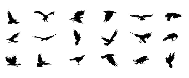 Set of flying birds silhouette. Set of black isolated silhouettes flying birds. flying birds icons