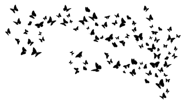 Set of flying black butterfly silhouettes Vector design