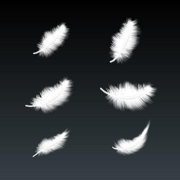 Set Of Flying White Goose Feathers