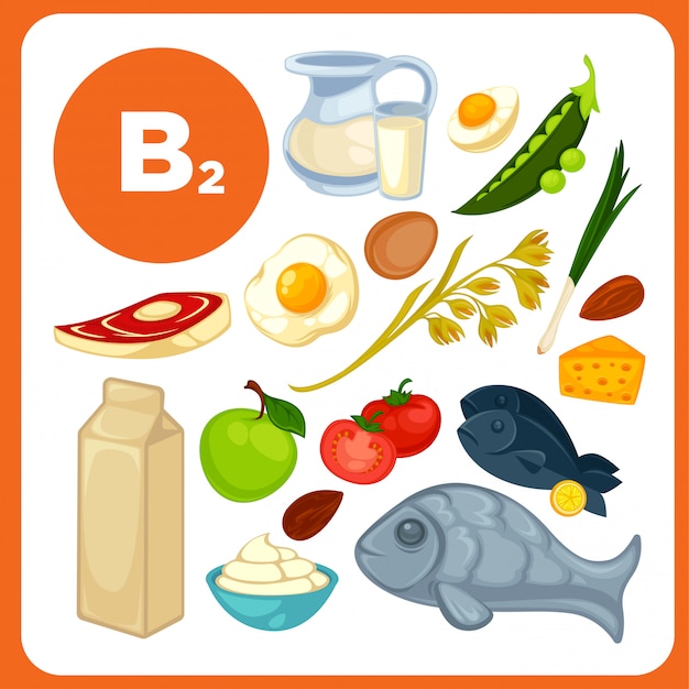 Set food with vitamin B2.