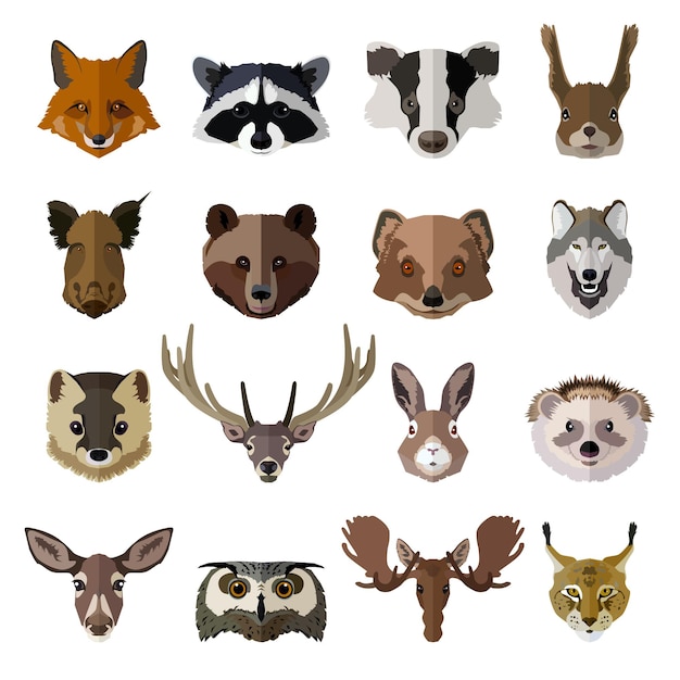 Set of forest animals faces isolated icons Flat style design